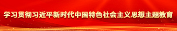 看看开口操逼学习贯彻习近平新时代中国特色社会主义思想主题教育